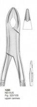  NEVIUS Fig. 320-10S upper canines 